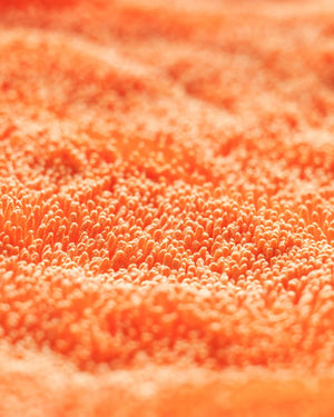 מגבת ייבוש לרכב CRPARO DHydrate BOLD