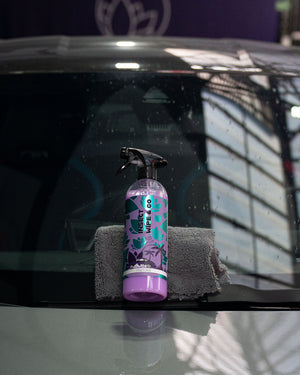 Nanolex WCWC Insect Wipe & Go  נוזל להסרת חרקים לרכב ללא מים